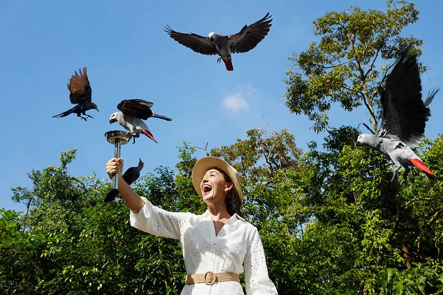 Bird Paradise ticket at Mandai Wildlife Reserve, Singapore