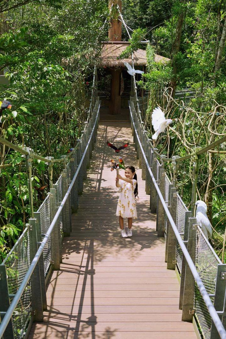 Explore Bird Paradise at Mandai Wildlife Reserve, Singapore