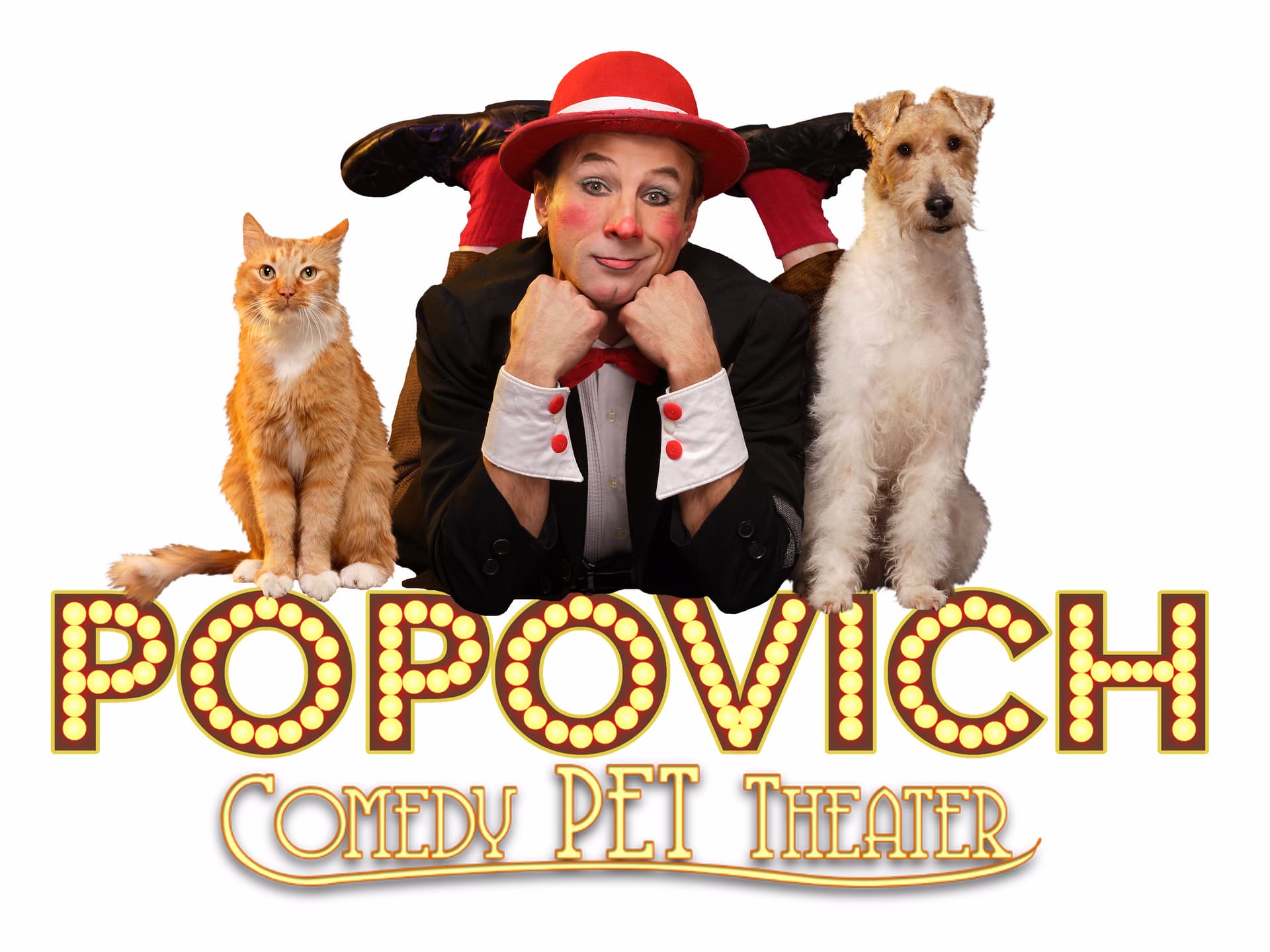 Popovich Comedy Pet Theater tickets in Las Vegas - Attractions | TickYourList
