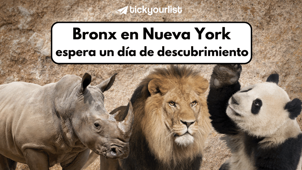 Entradas para el zoológico del Bronx en Nueva York Te espera un día de descubrimiento