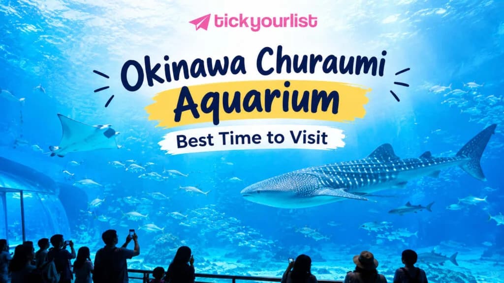 Okinawa Churaumi Aquarium featuring a giant whale shark, manta rays, and colorful marine life in a big tank.