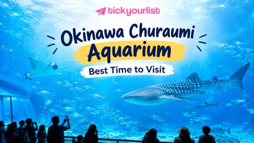 Okinawa Churaumi Aquarium featuring a giant whale shark, manta rays, and colorful marine life in a big tank.
