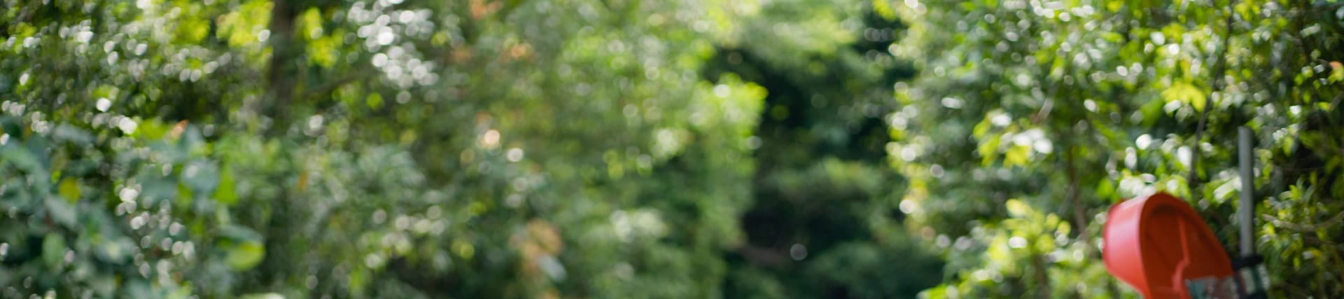 Skyline Luge adventure in Sentosa, Singapore