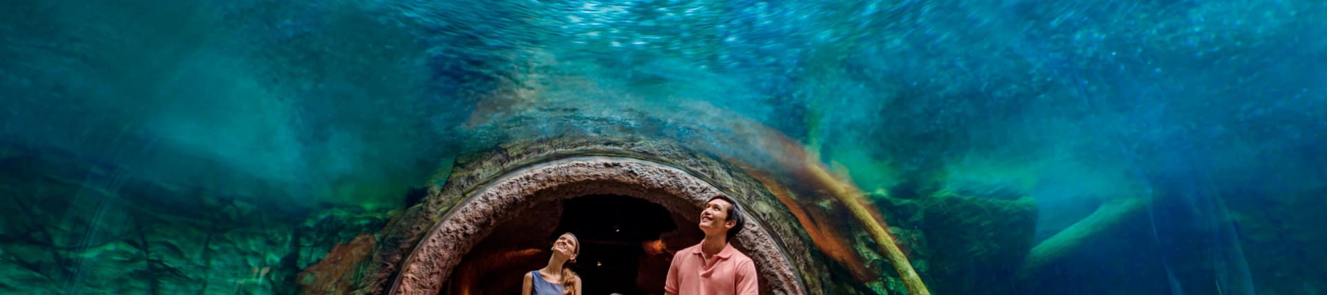 Giant River Otters at River Wonders, Singapore