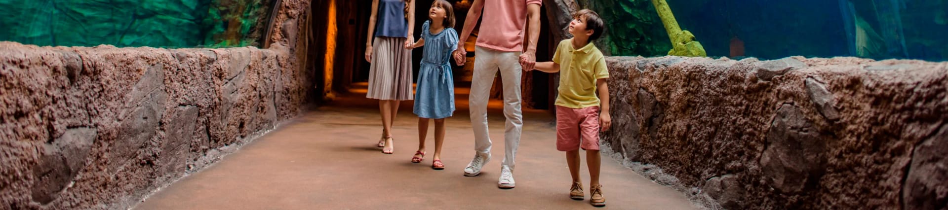 Interact with Giant River Otters at River Wonders, Singapore