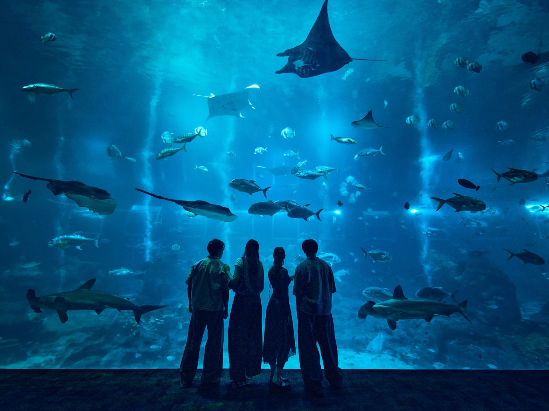 Singapore Oceanarium ticket showcasing vibrant marine life