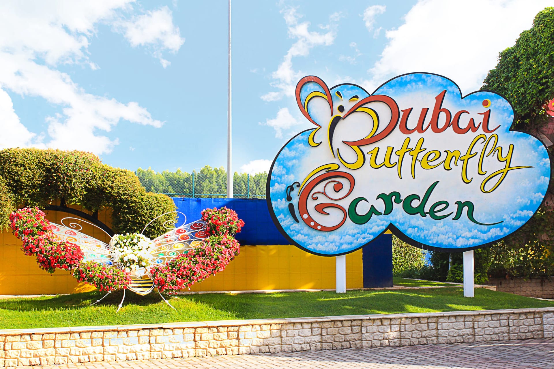 Dubai Butterfly Garden ticket experience in UAE