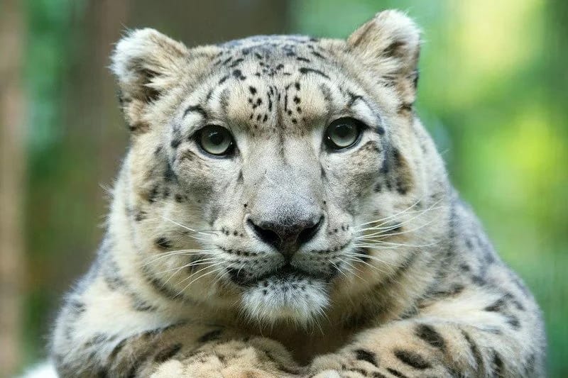 Central Park Zoo admission in New York City