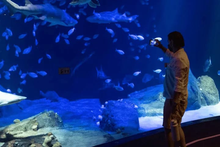Visitor enjoying New York Aquarium ticket experience