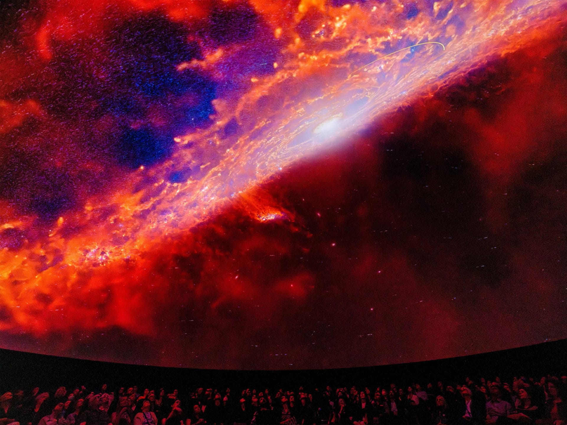 American Museum of Natural History ticket in New York