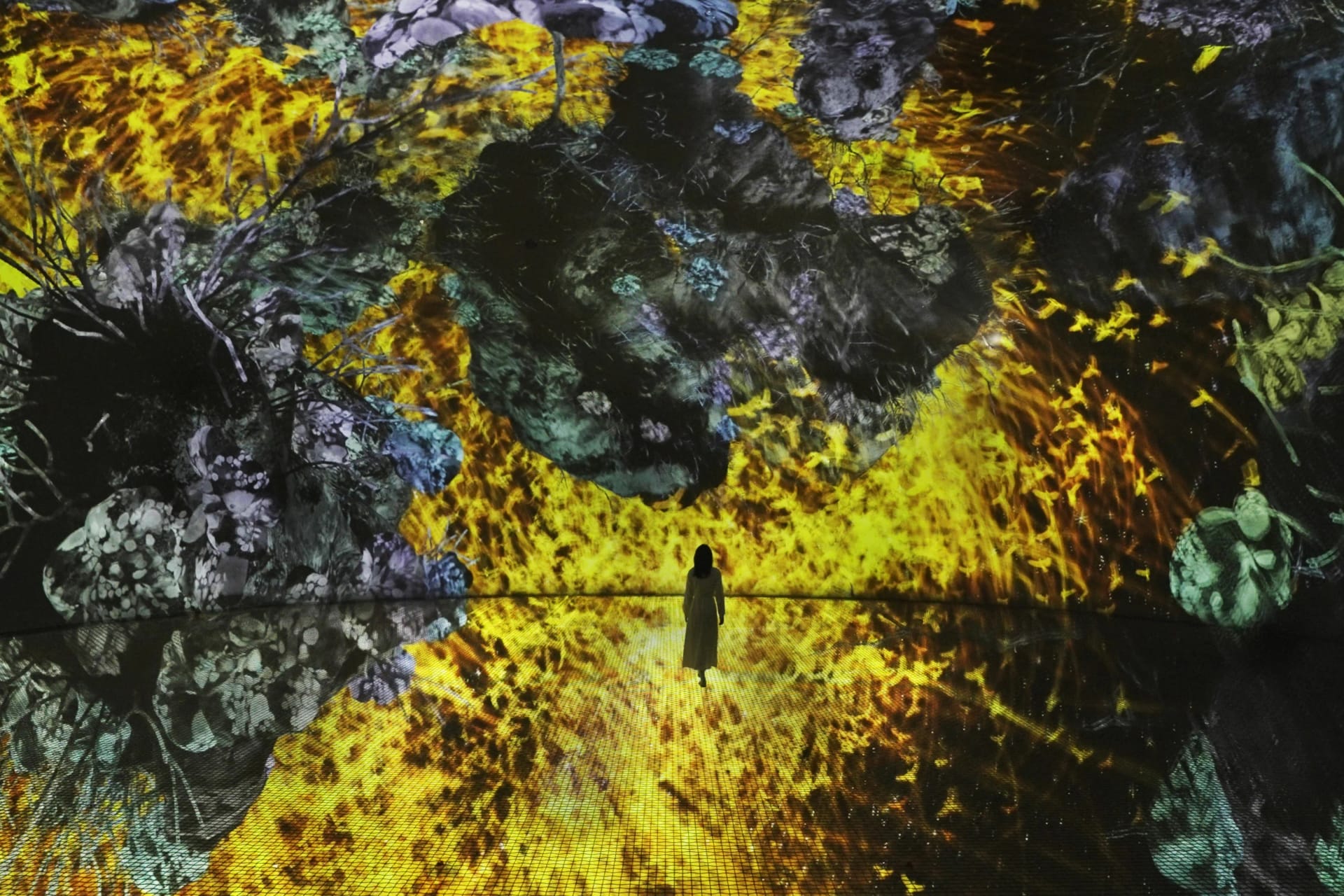 teamLab Phenomena ticket in Abu Dhabi