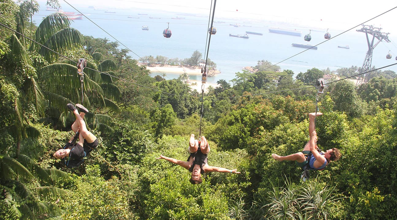 Thrilling MegaZip adventure at Mega Adventure Park Singapore