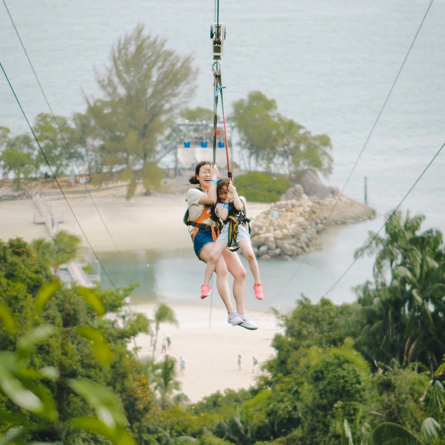 Thrilling MegaZip experience at Mega Adventure Park Singapore