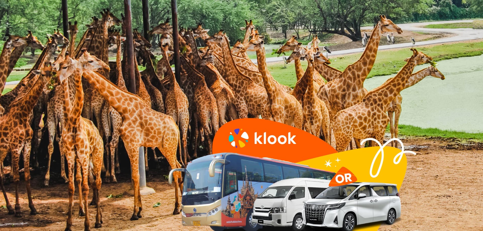 Bangkok Safari World private transfer service