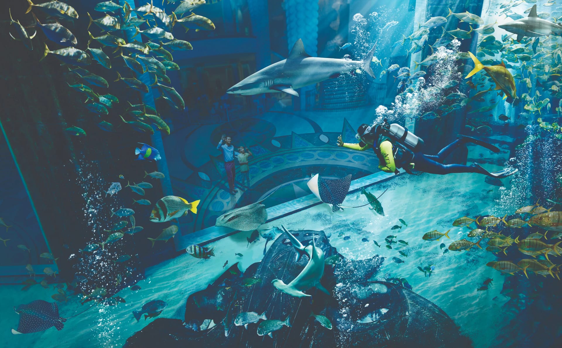 Scuba diving with marine life in Dubai aquarium