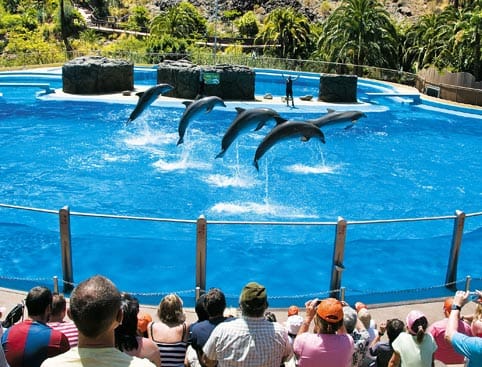 Palmitos Park Entry Tickets in Las Palmas de Gran Canaria | TickYourList