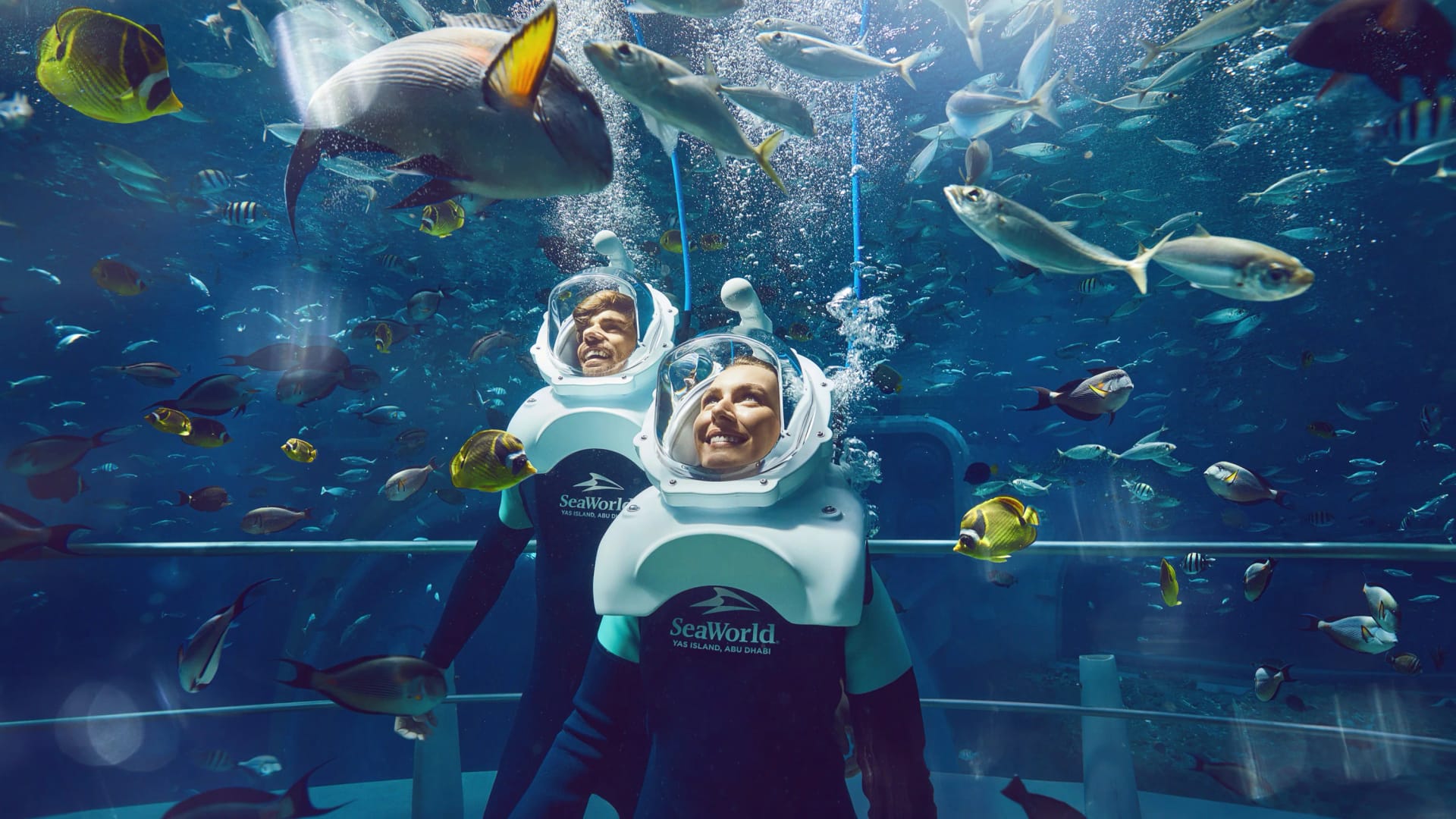 Exciting SeaWorld admission experience in Abu Dhabi