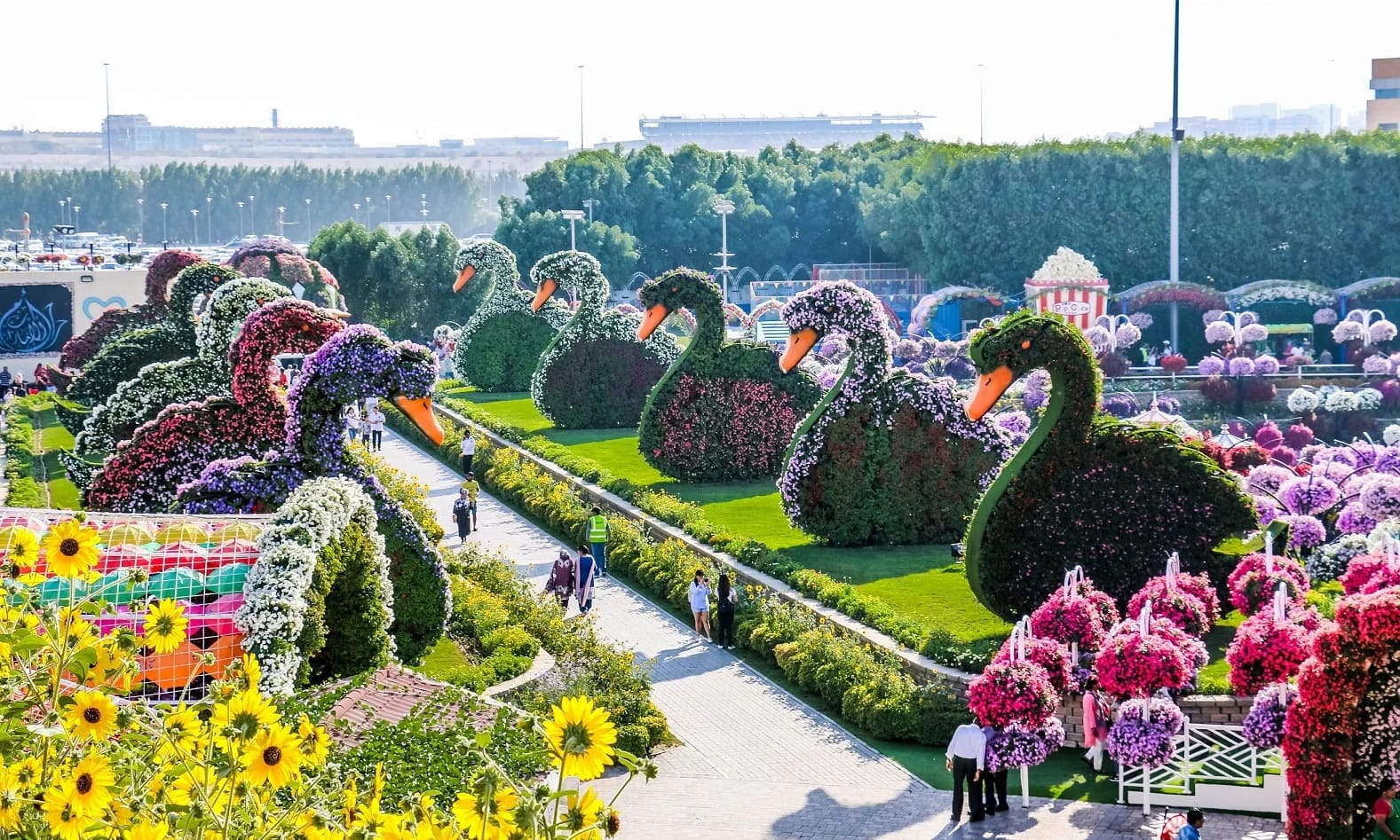colorful flower sculptures at Dubai Miracle Garden