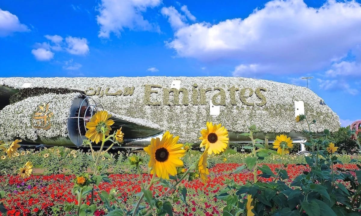 Dubai Miracle Garden airplane flower sculpture display