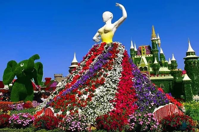 Stunning flowers at Dubai Miracle Garden