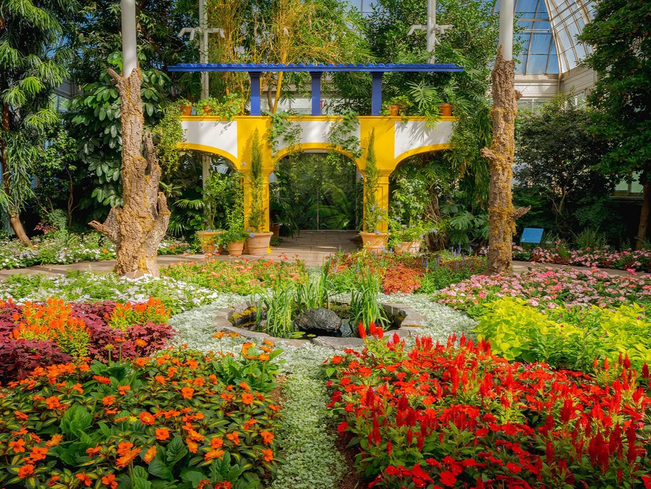 Explore vibrant flowers at New York Botanical Garden