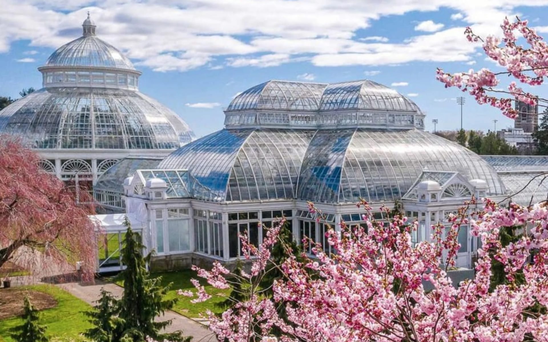 New York Botanical Garden ticket in lush greenery
