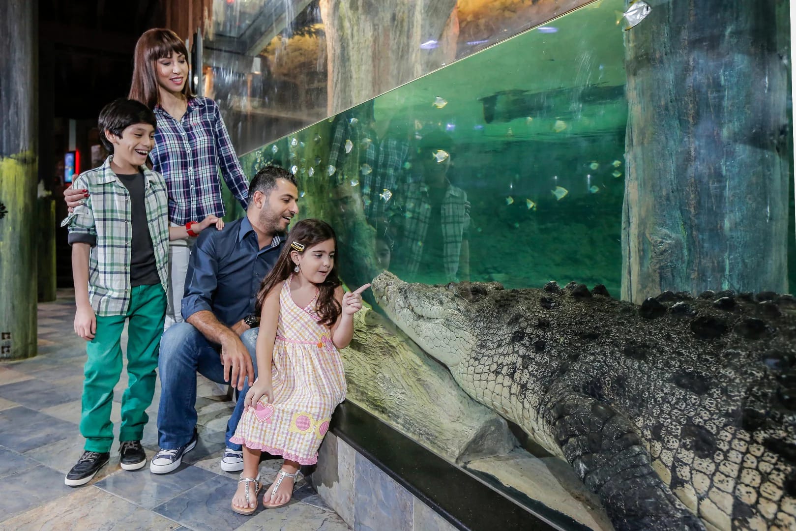 Explore Dubai Aquarium's vibrant marine life