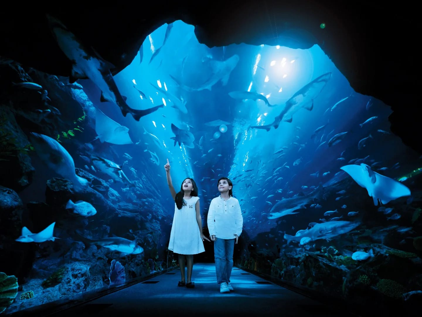 children amazed at Dubai Aquarium marine life