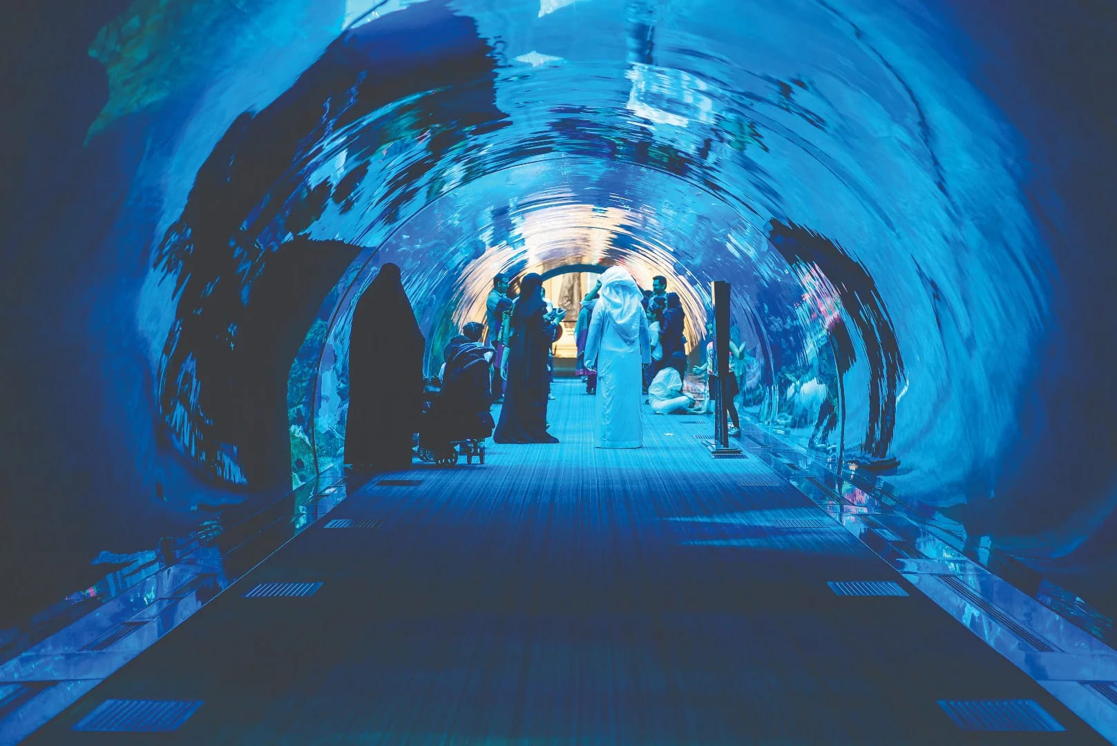 immersive underwater tunnel at Dubai Aquarium