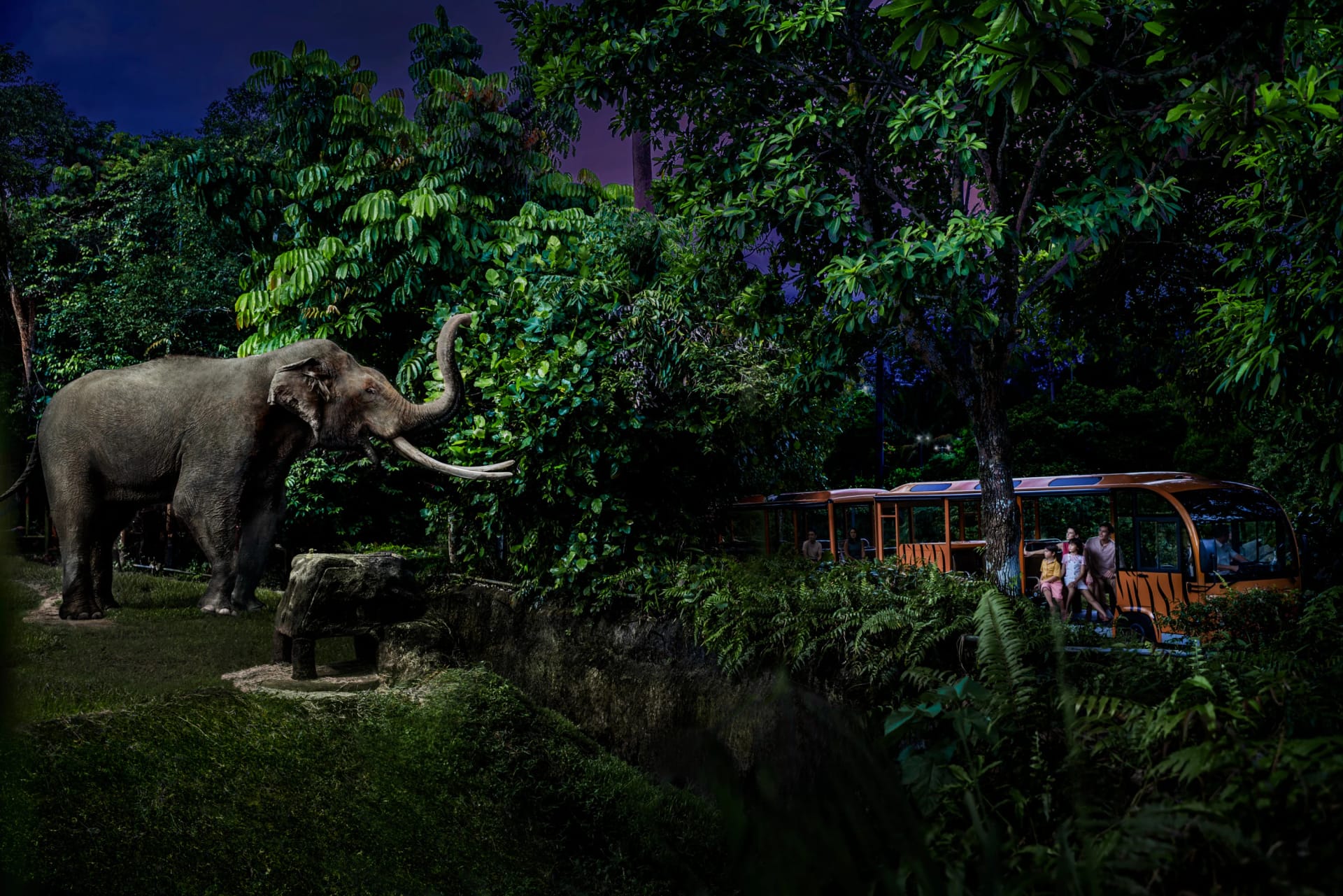 Mandai Night Safari tram ride with wildlife