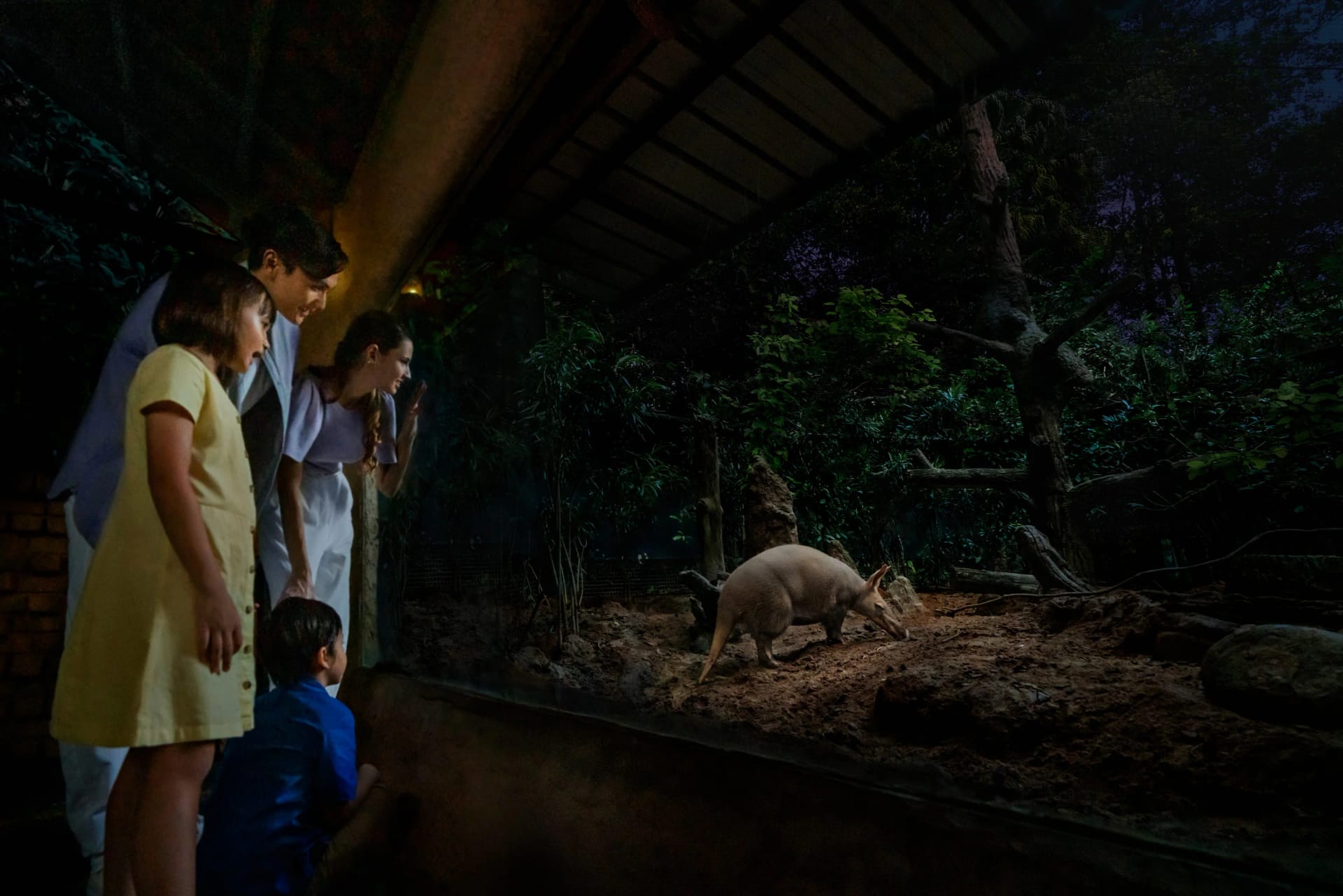 Night Safari experience at Mandai Wildlife Reserve, Singapore