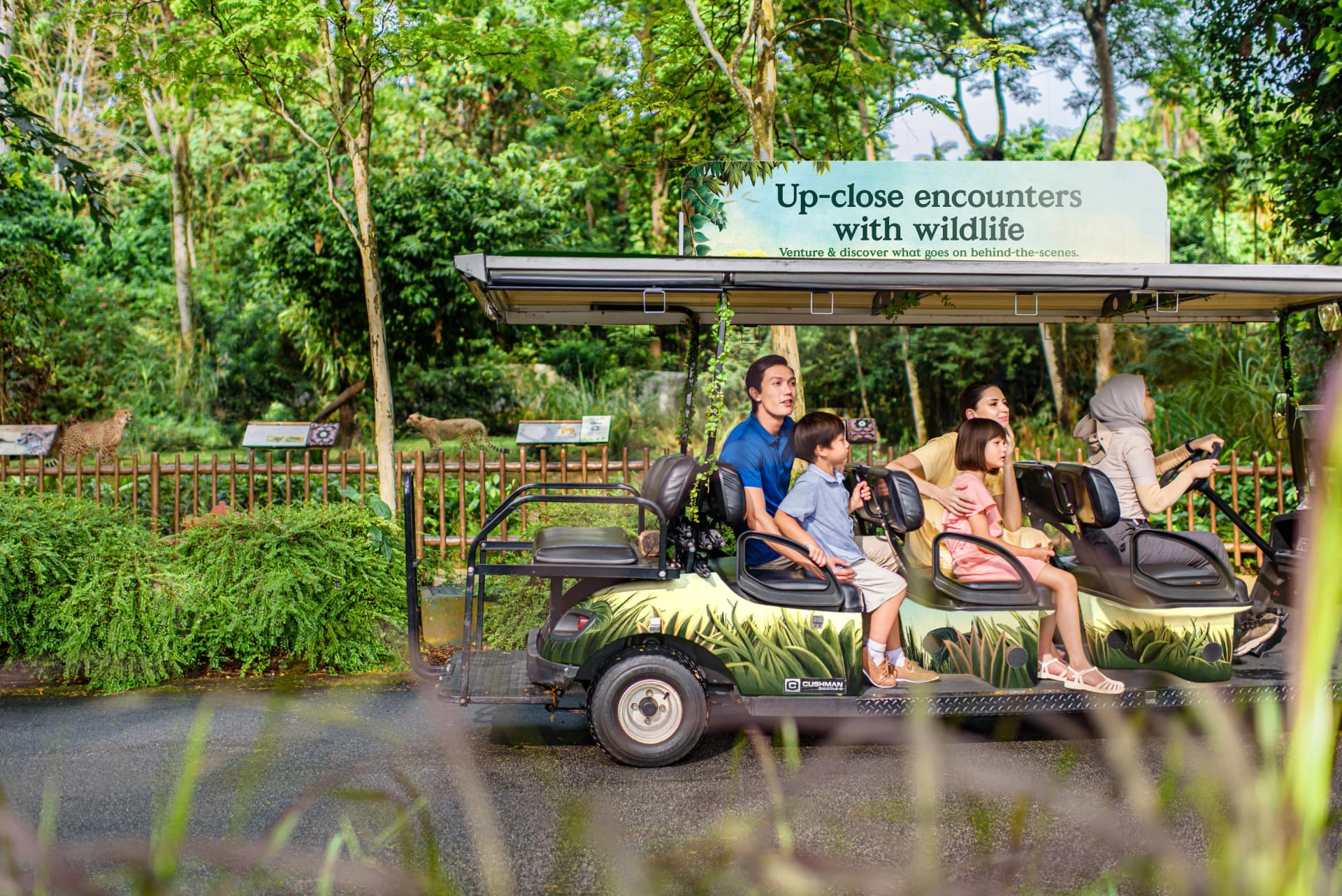 Private buggy tour at Singapore Zoo