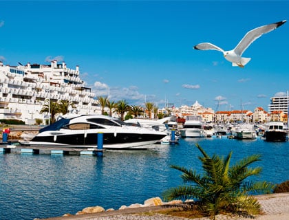 listing card gallery - Image 1 of 1