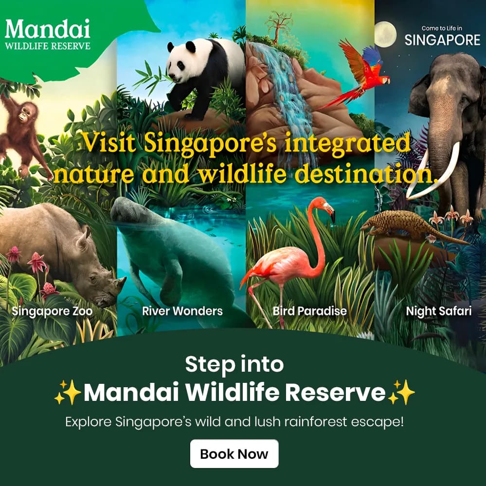 Slide 67cf50fb8b0b2f23626f152f1