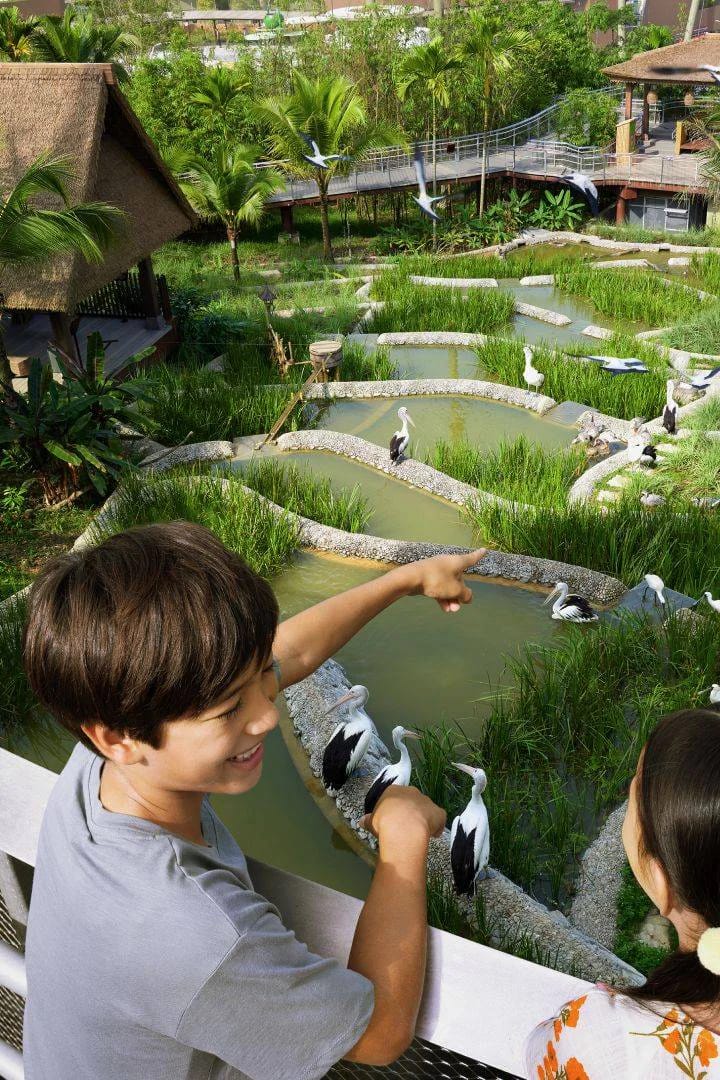 Bird Paradise Ticket at Mandai Wildlife Reserve, Singapore