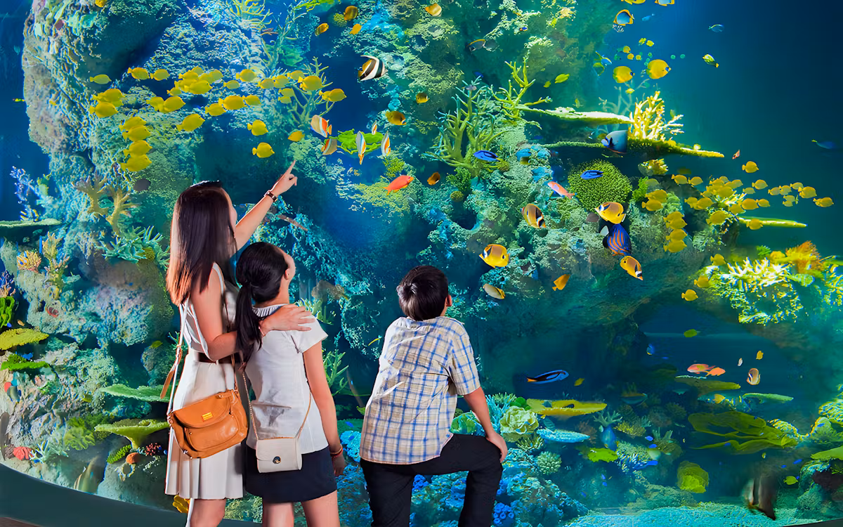 4c794822a8d738c61bf15e24308b5b2e-7443-singapore-s.e.a-aquarium--singapore-tickets-01.avif