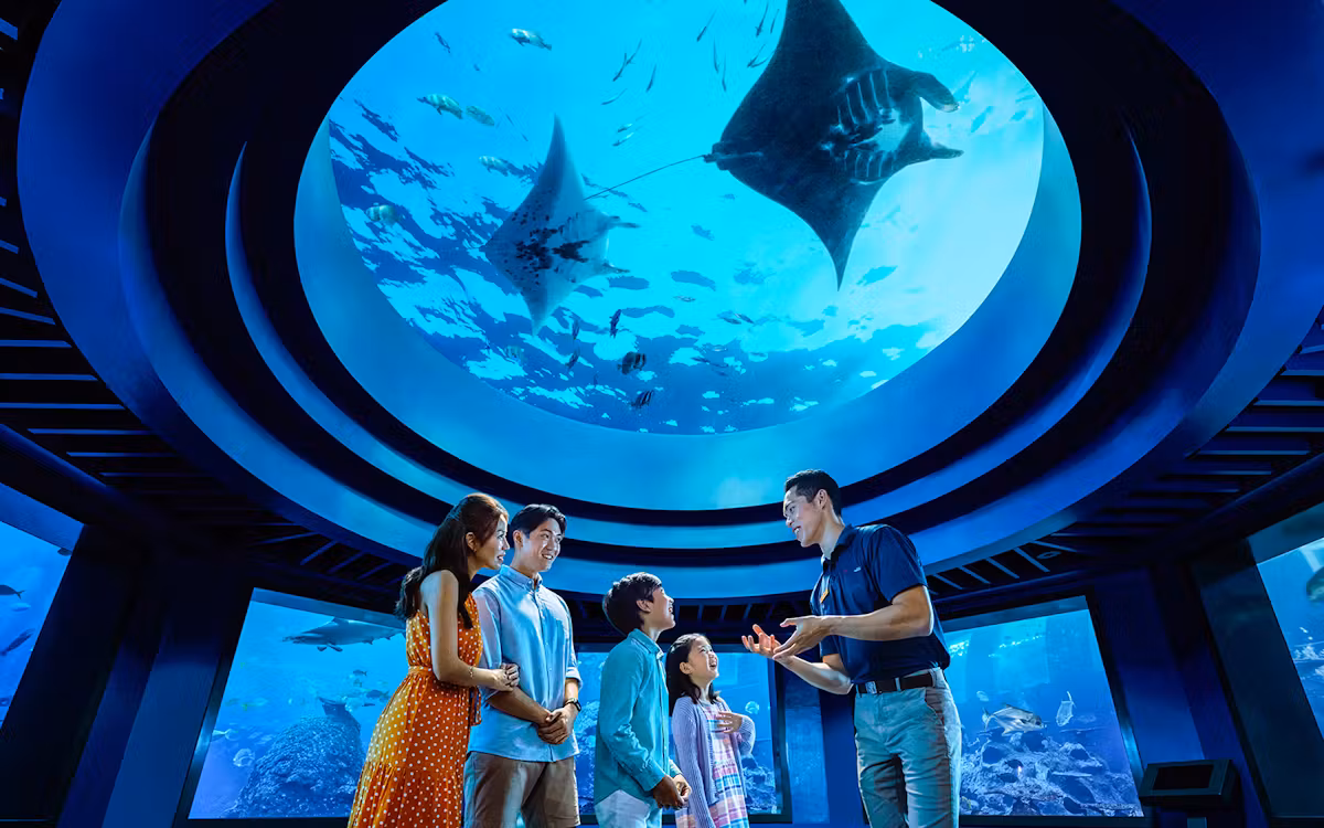 37d8ce6b64b0d316a06a47998904c091-14274-singapore-s.e.a.-aquarium---dolphin-discovery-tickets-06.avif