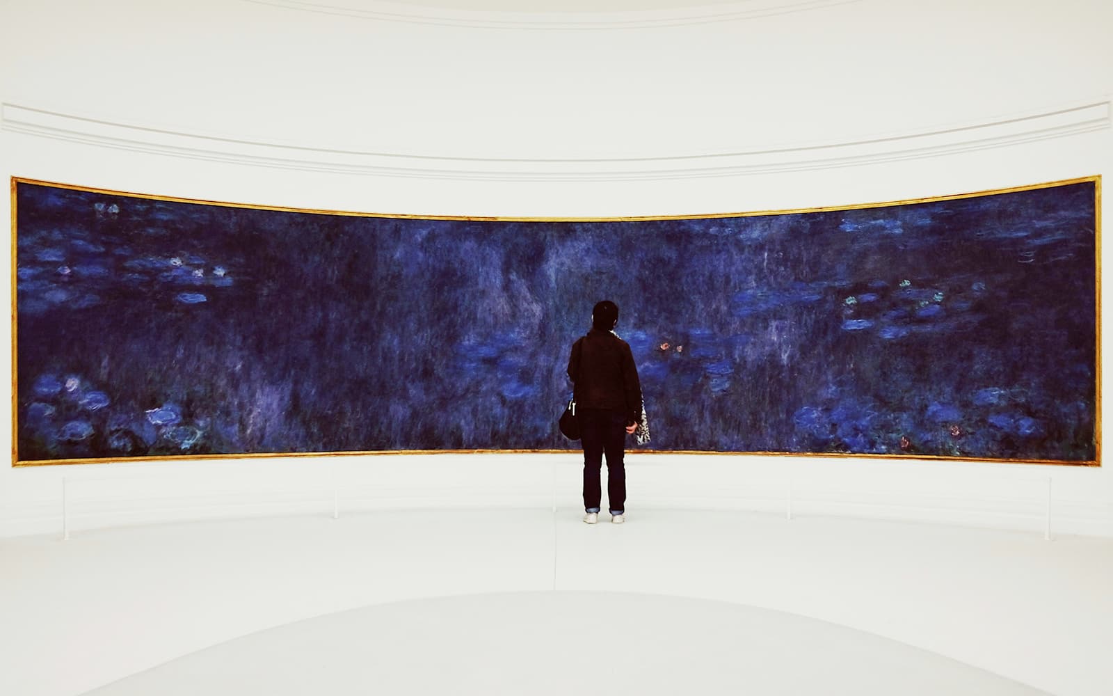 Orangerie Museum Fast-Track Tickets in Paris - Features | TickYourList