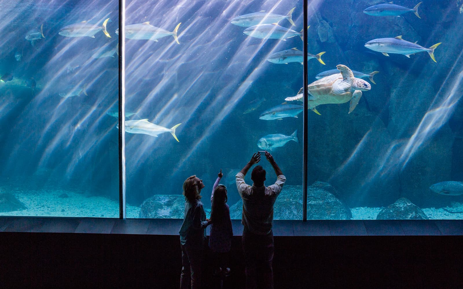 Aquarium de Paris Priority Access Tickets in Paris - Attractions | TickYourList