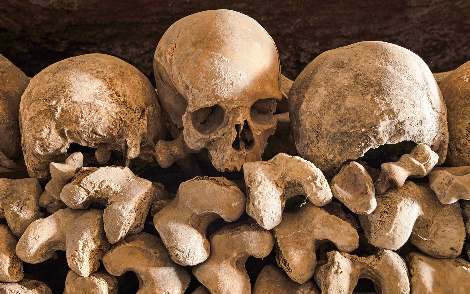 Paris Catacombs Reserved Access Tickets in Paris - Highlights | TickYourList