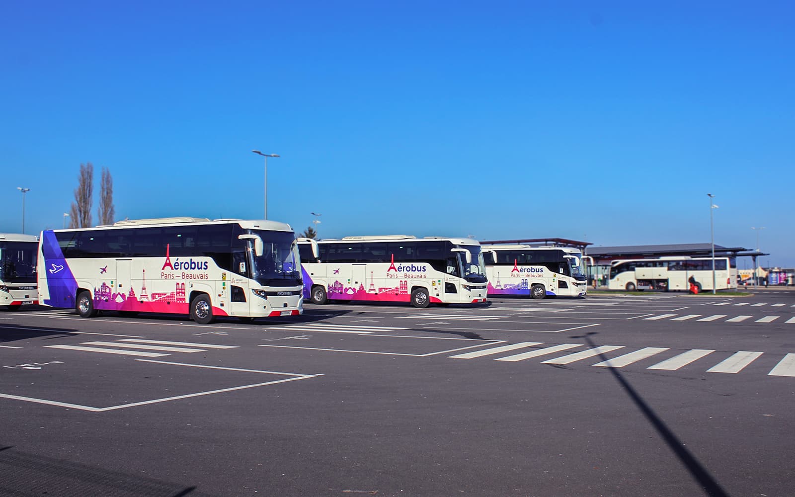 Bus Transfer: Paris Beauvais Airport to/from Saint-Denis University by Aerobus tickets in Paris - Highlights | TickYourList