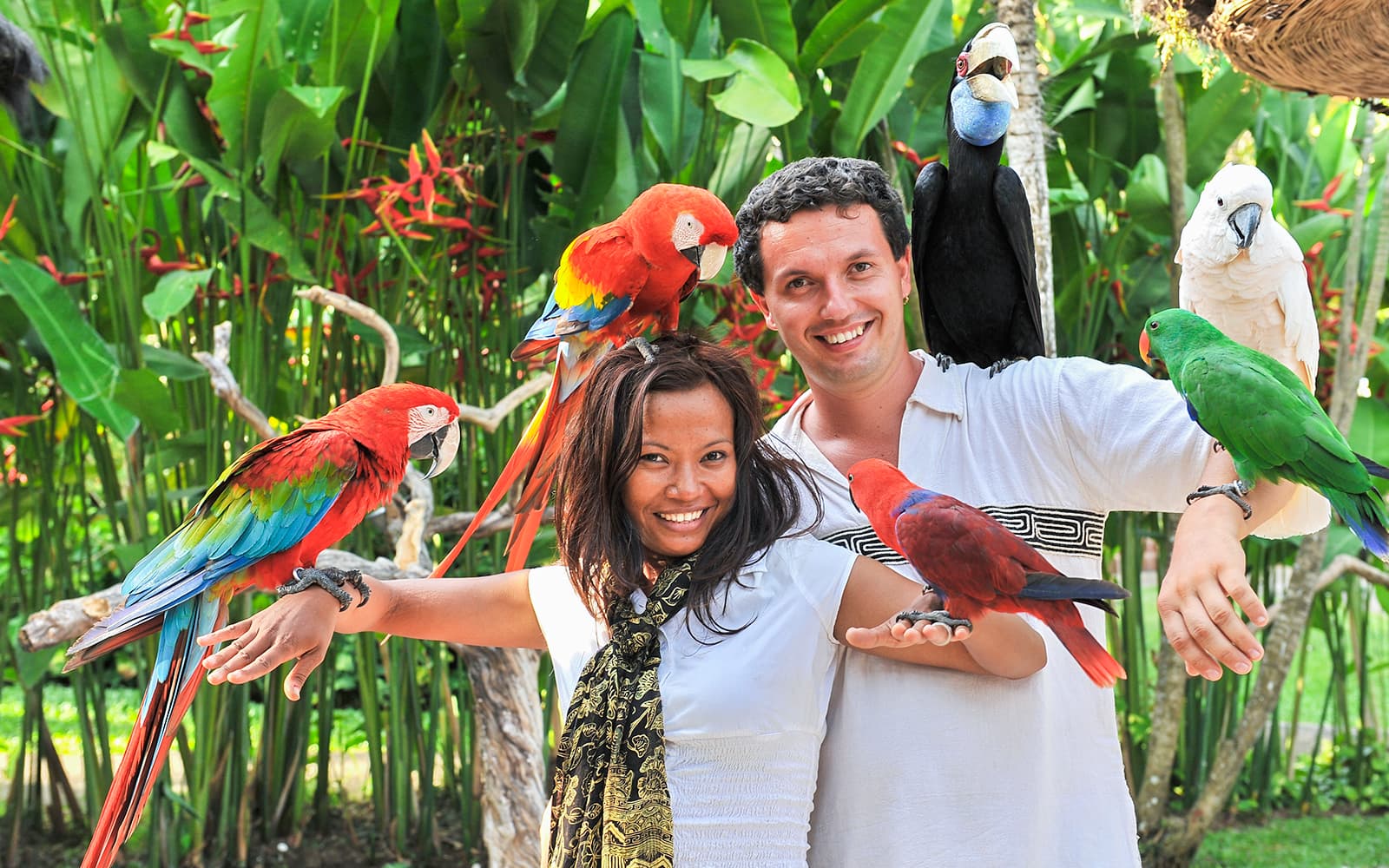 Bali Bird Park Tickets with Hotel Transfers