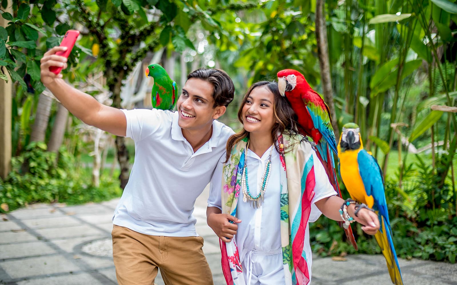 Bali Bird Park Tickets + Optional Lunch with Bird Stars