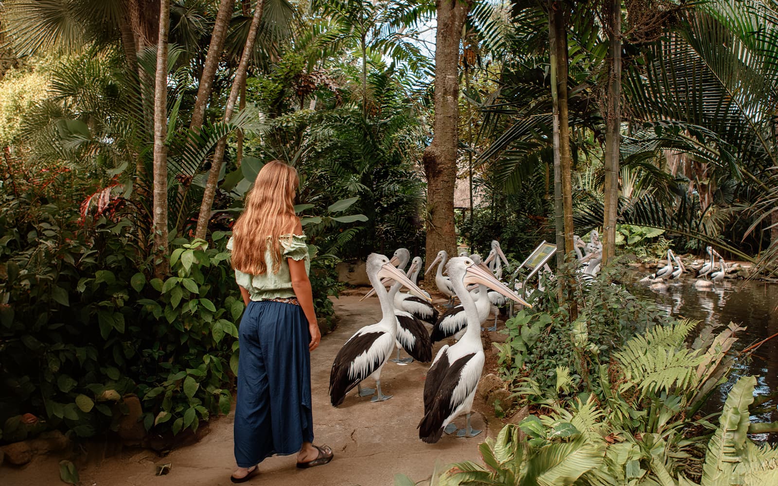 Bali Bird Park Group Saver Tickets: Group of 3 & More in Bali - Attractions | TickYourList