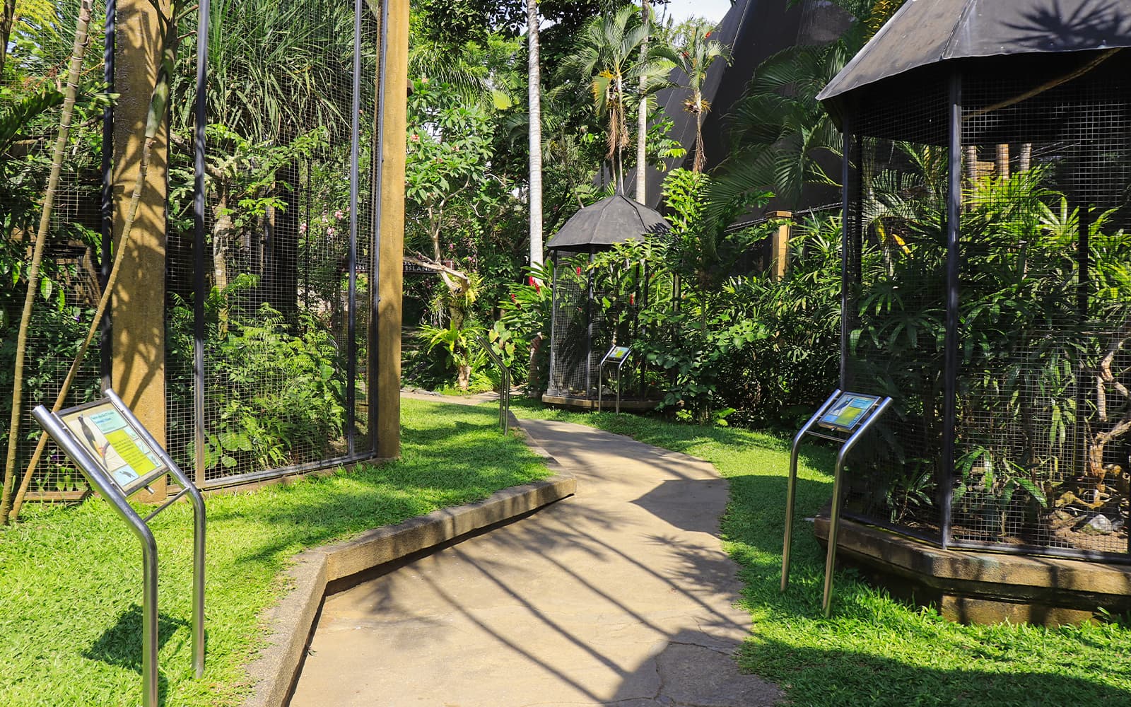 Bali Bird Park Group Saver Tickets: Group of 3 & More in Bali - Activities | TickYourList