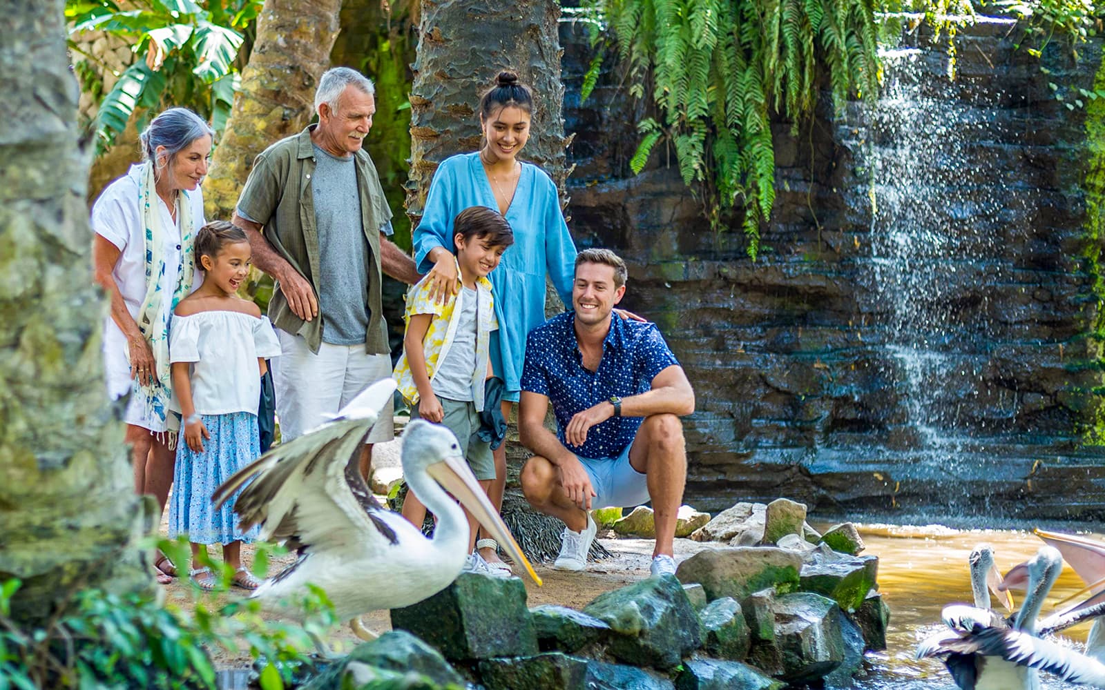 Bali Bird Park Tickets with Lunch at Crispy Duck & Hotel Transfers in Bali - Attractions | TickYourList