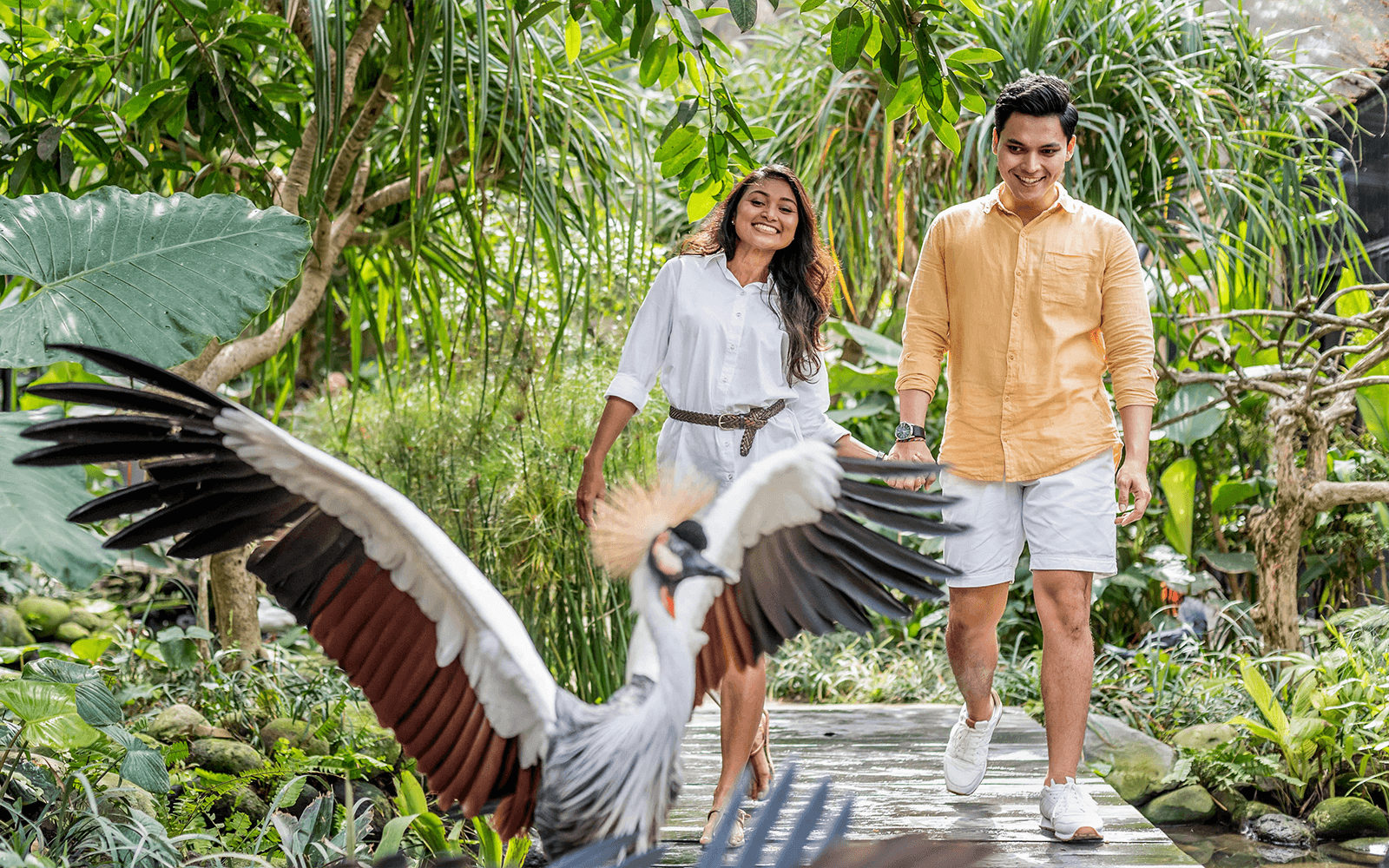 Bali Bird Park Tickets with Tea Time & Hotel Transfers in Bali - Attractions | TickYourList
