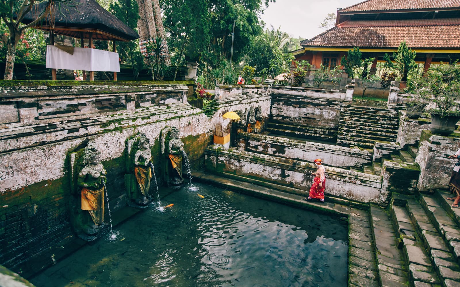 Kintamani Small Group Tour: Tegalalang Rice Terraces, Goa Gajah Temple and more tickets in Bali - Features | TickYourList