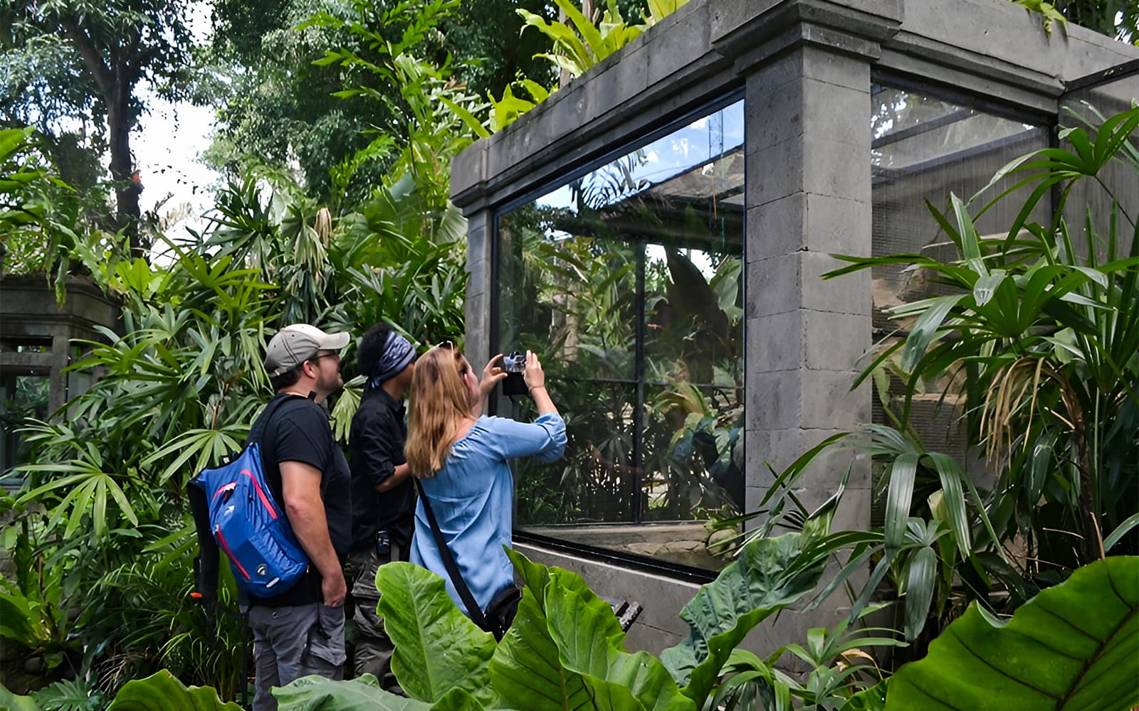 Tickets to Bali Reptile Park in Bali - Attractions | TickYourList