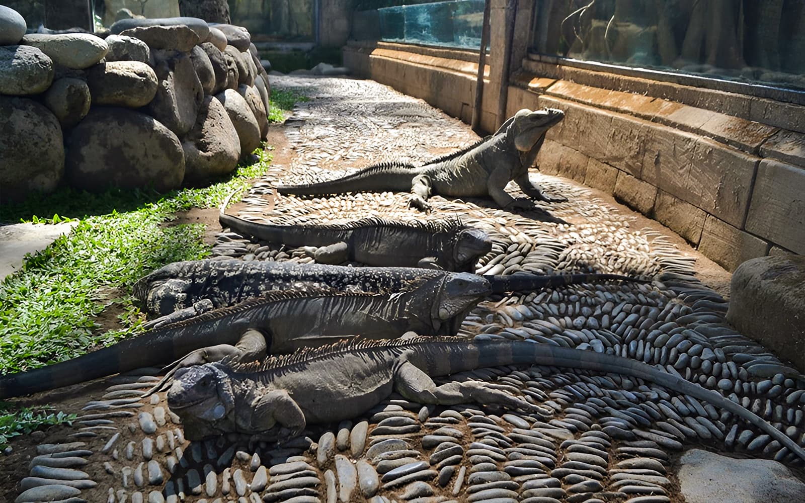Tickets to Bali Reptile Park in Bali - Activities | TickYourList